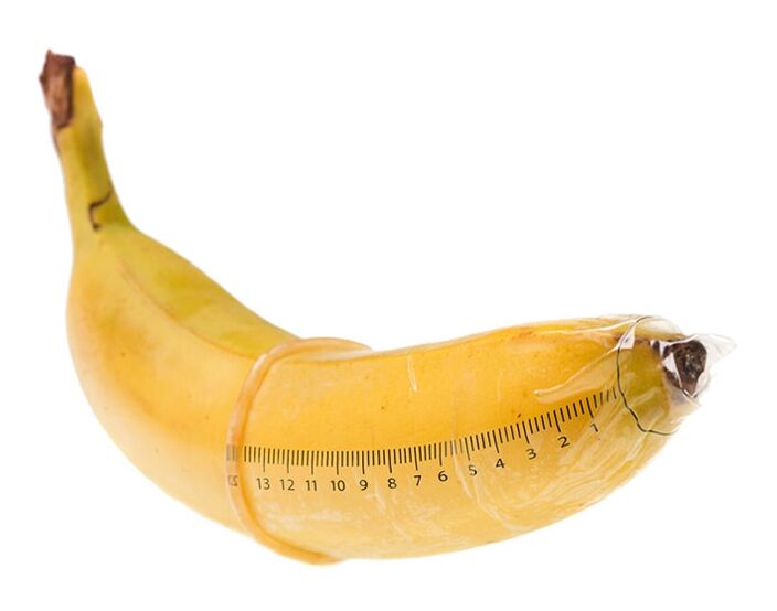 Optymalny rozmiar penisa w stanie erekcji to 10-16 cm